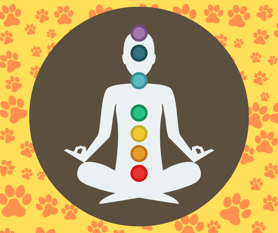 A spiritual approach to living with a dog